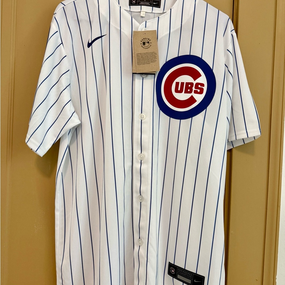 New with Tags Nike White and Blue Striped Men's Jersey